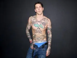 Hd live toy StanLevy
